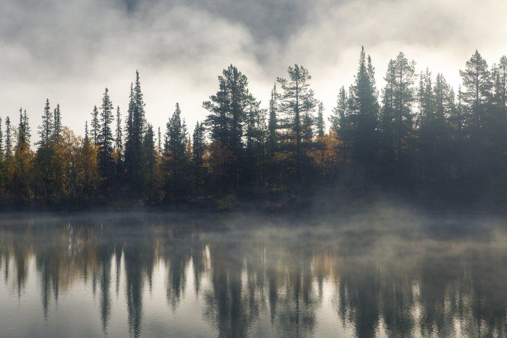 Photograph by Алексей Ретюнских