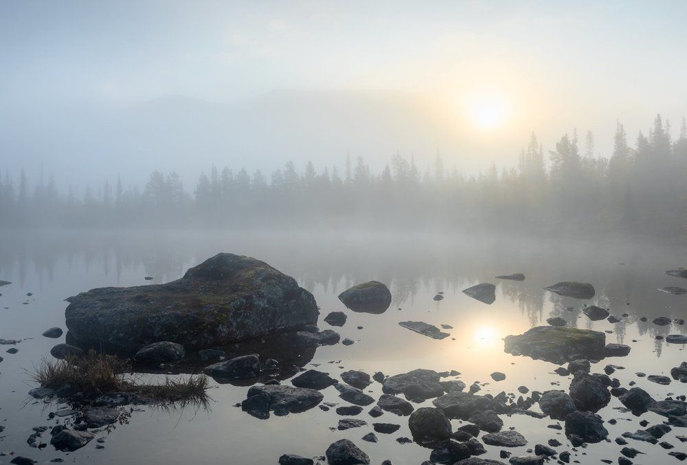 Photograph by Алексей Ретюнских