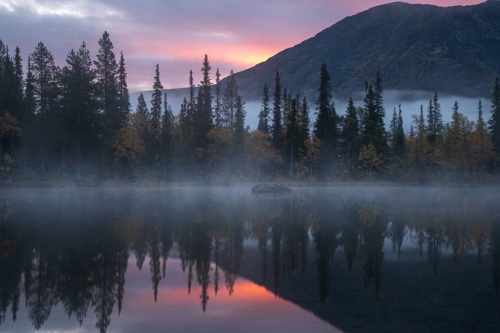 Photograph by Алексей Ретюнских