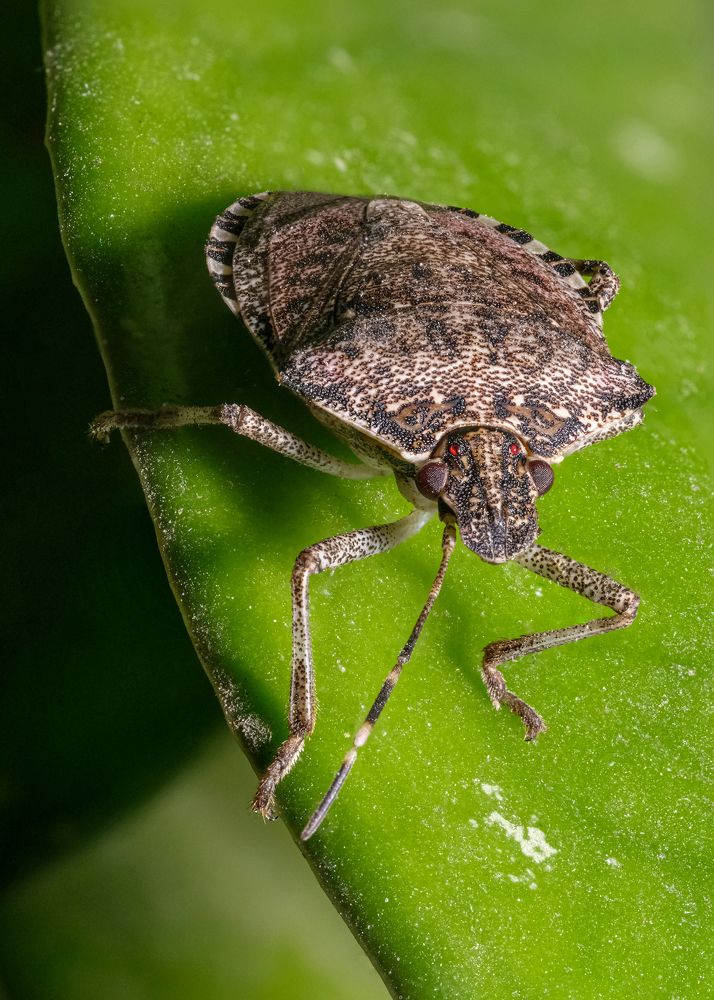 Фотография автора Yendrek Stanislav