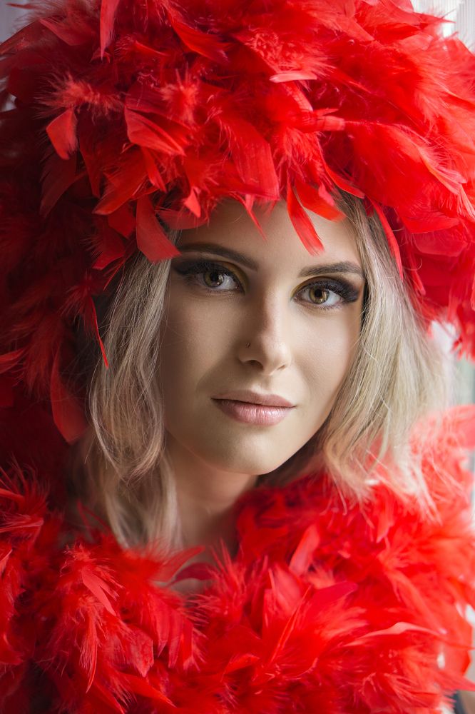 Фотография автора Елена Самофалова