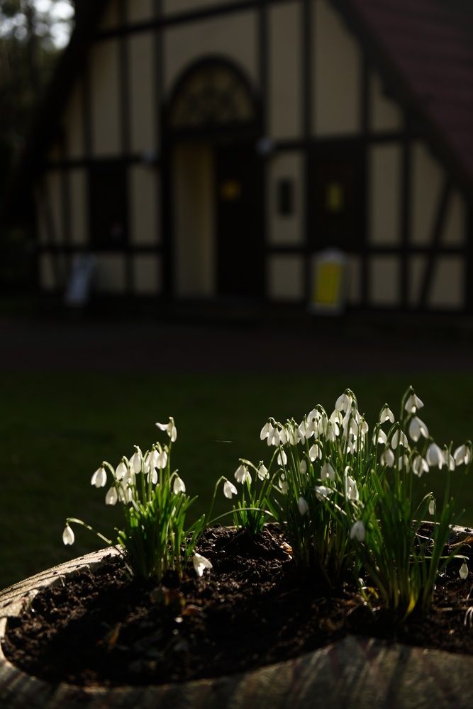 Photograph by Владимир Леликов-Кузьменко