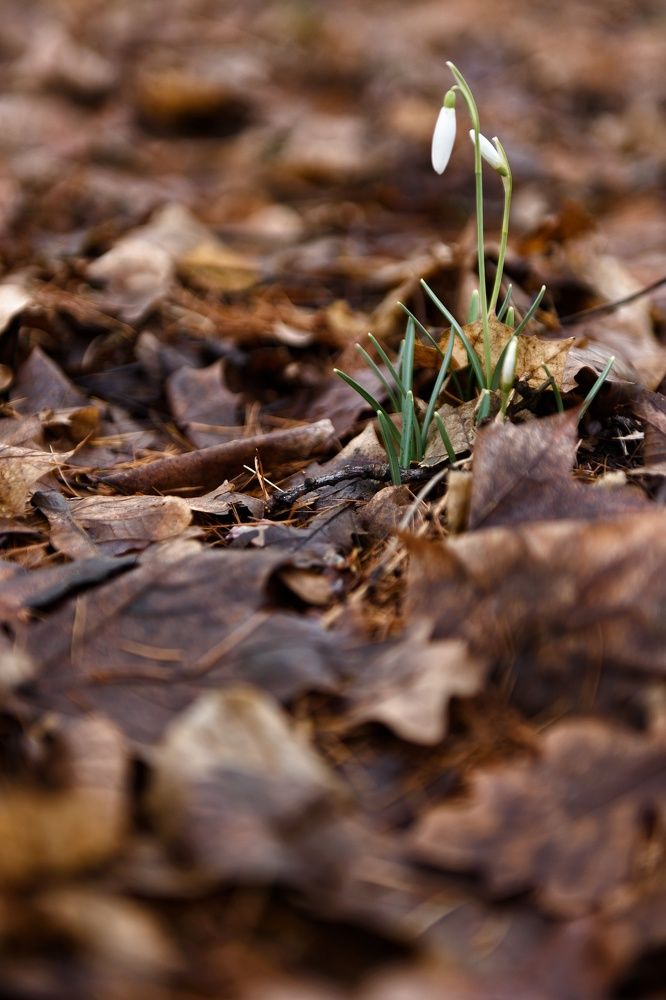 Photograph by Владимир Леликов-Кузьменко