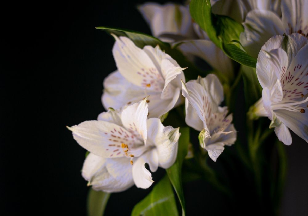 Photograph by Анна Швецова