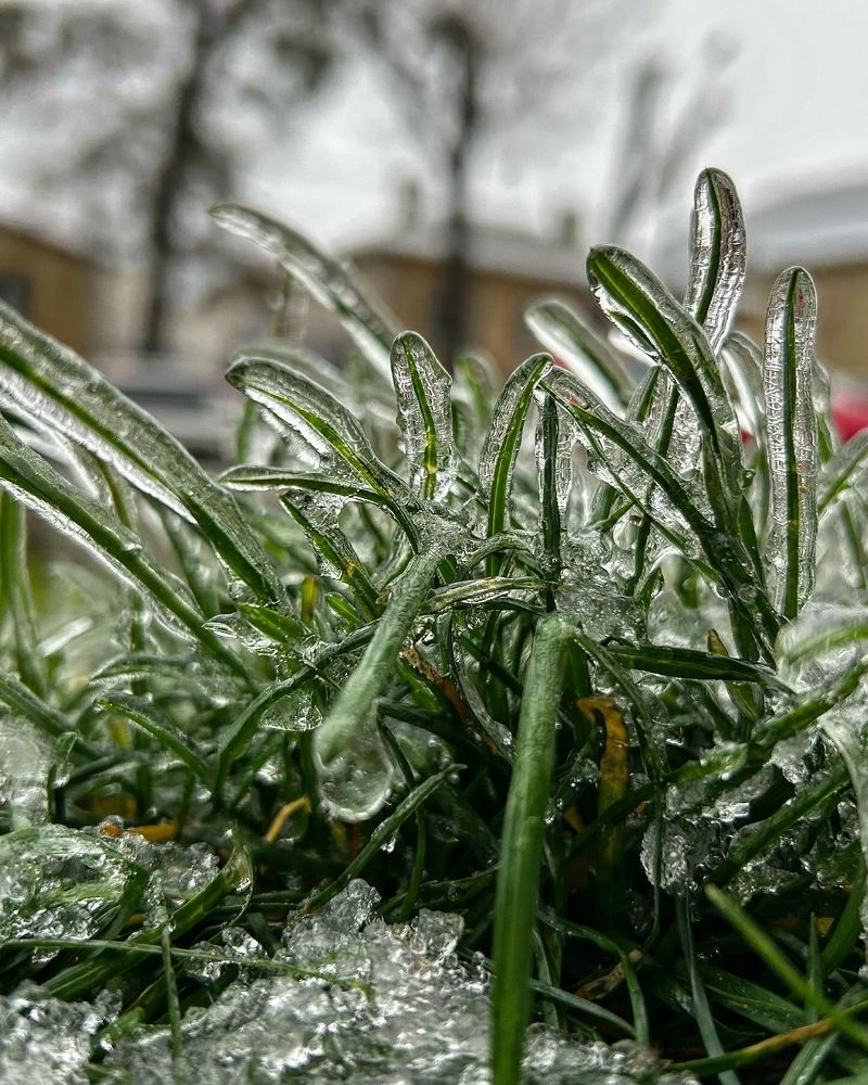 Photograph by Олег Ведерников