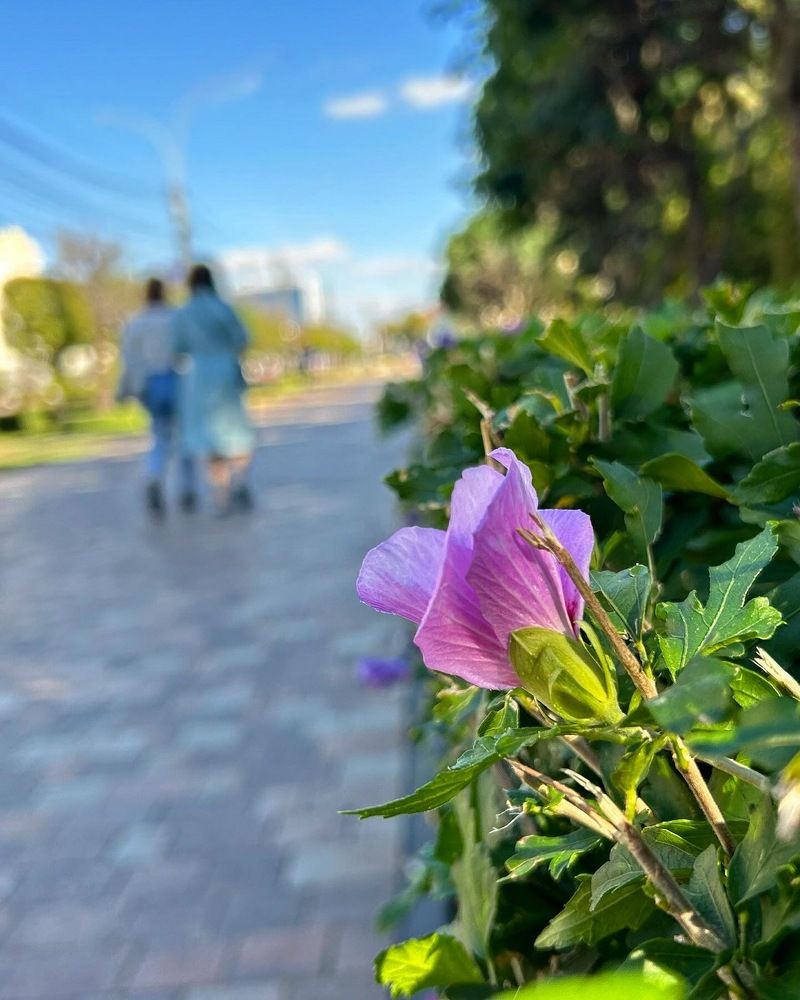 Photograph by Олег Ведерников