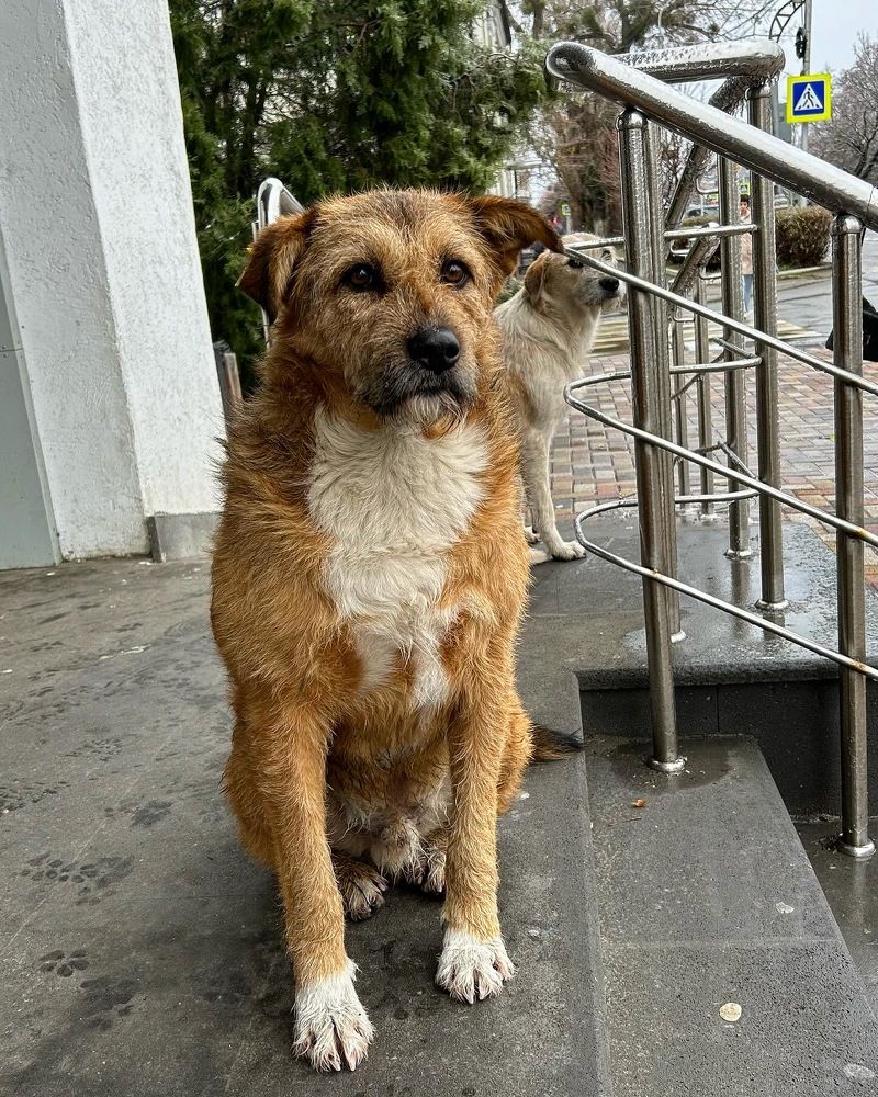 Photograph by Олег Ведерников