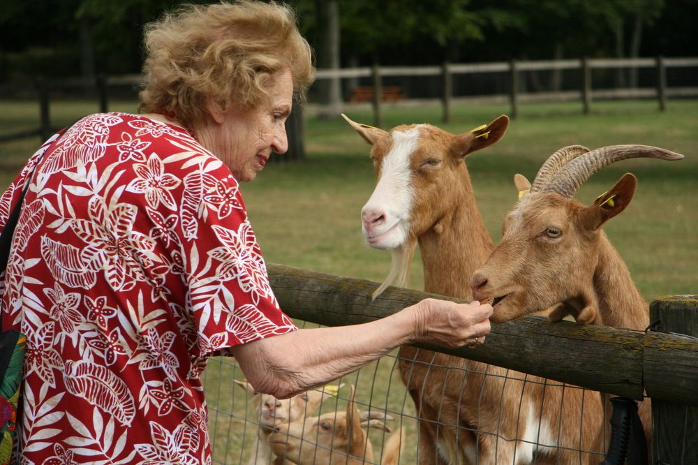 Фотография автора Ramin Barzegar