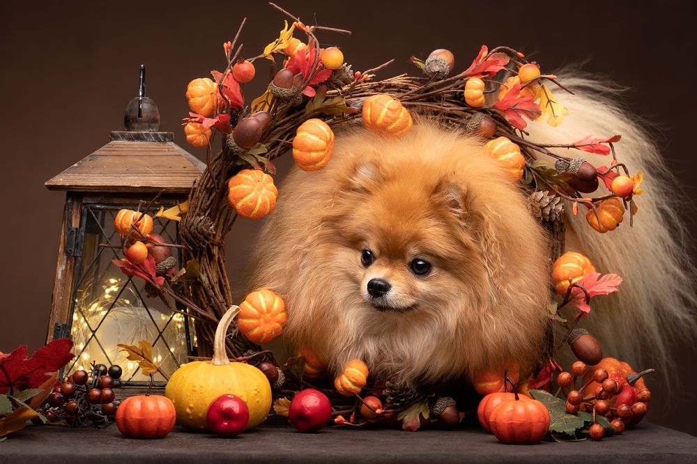 Photograph by Валерия Капитонова