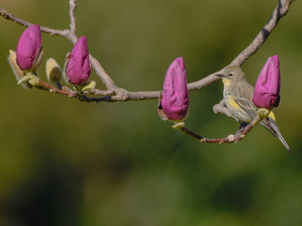 Photograph by Antara Chakravarty