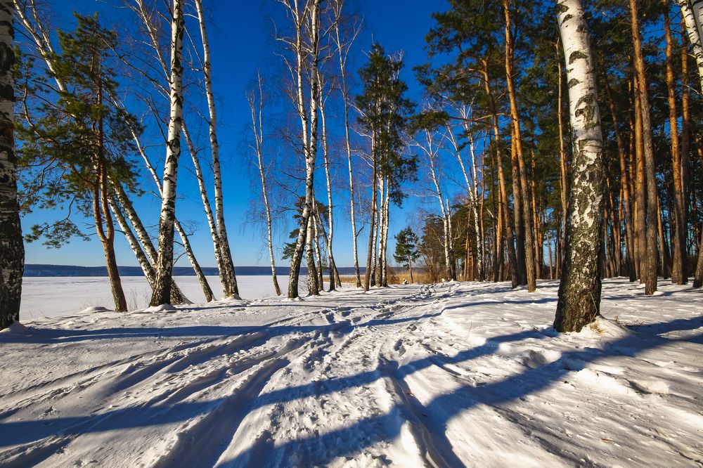 Photograph by Павел Васенин