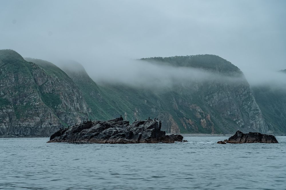 Photograph by Ксения Гасица