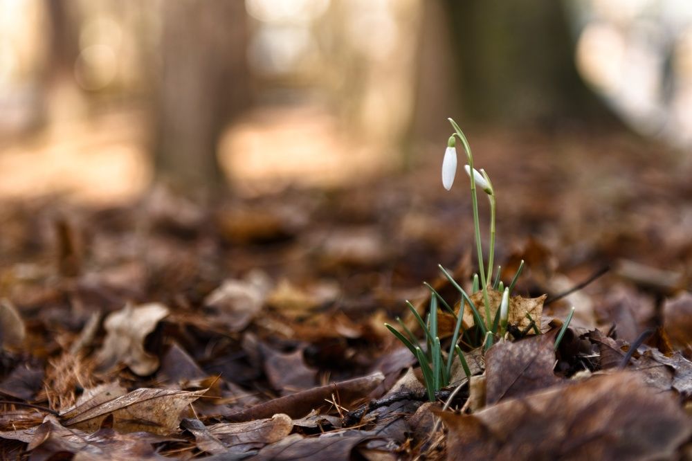 Photograph by Владимир Леликов-Кузьменко