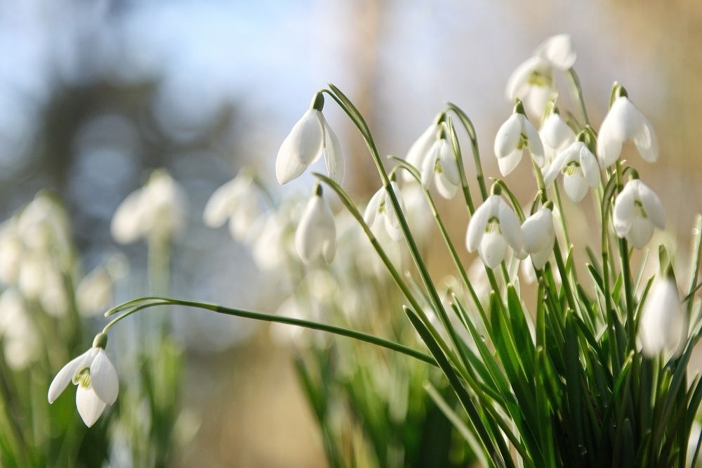 Photograph by Владимир Леликов-Кузьменко