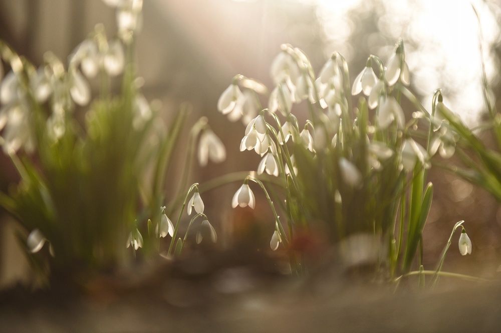 Photograph by Владимир Леликов-Кузьменко