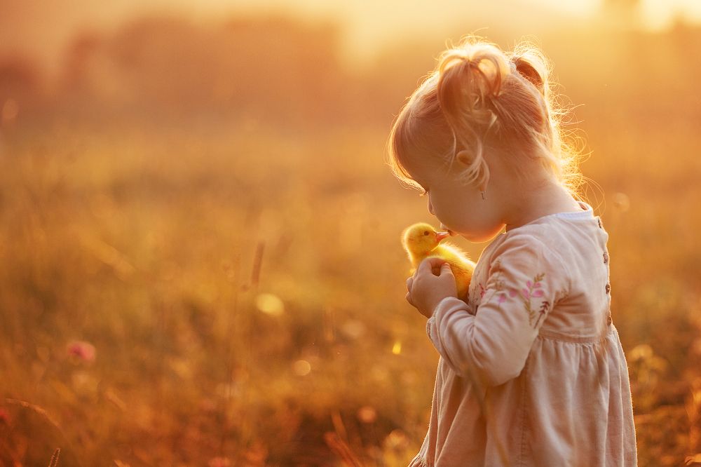 Фотография автора Ахтямова Рашида