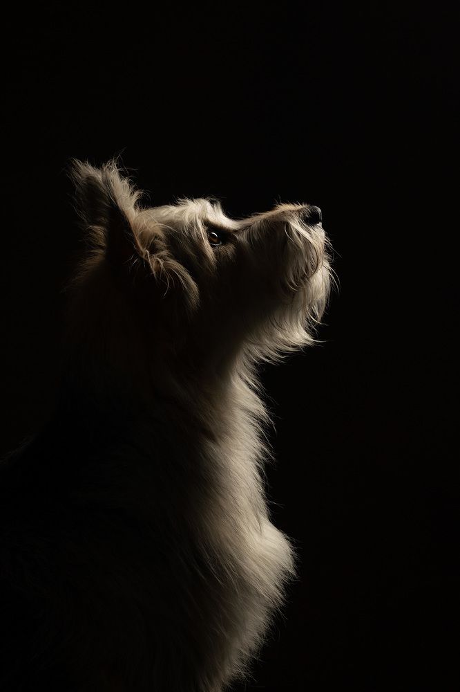 Photograph by Анастасия Ветковская