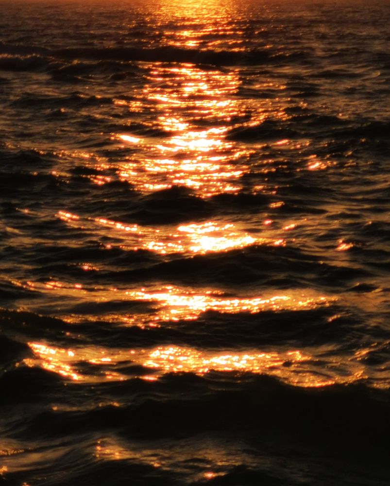 Photograph by Amr Emad