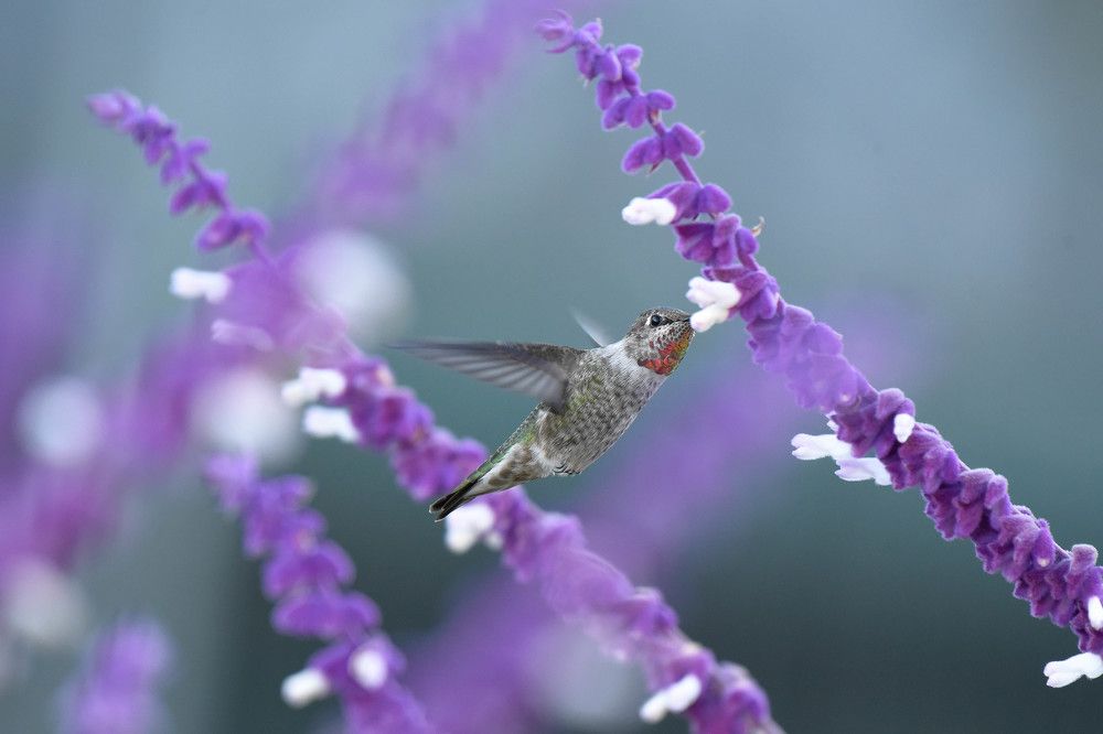 Photograph by Antara Chakravarty