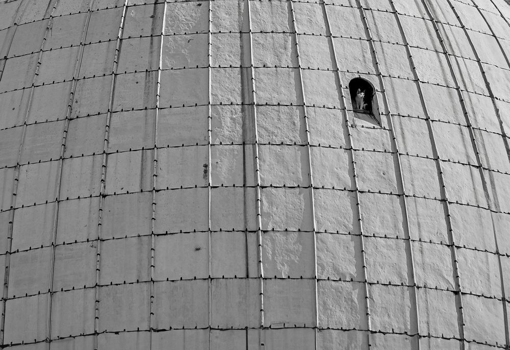 Photograph by Малика Маткарим