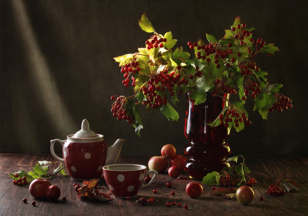 Фотография автора Дарья Шамакина