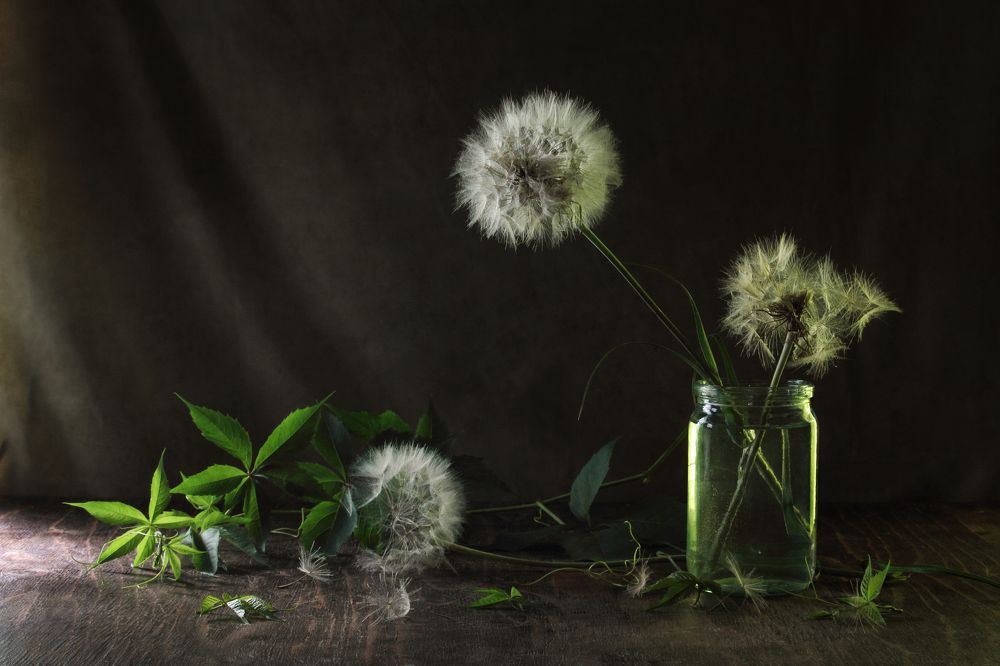 Фотография автора Дарья Шамакина