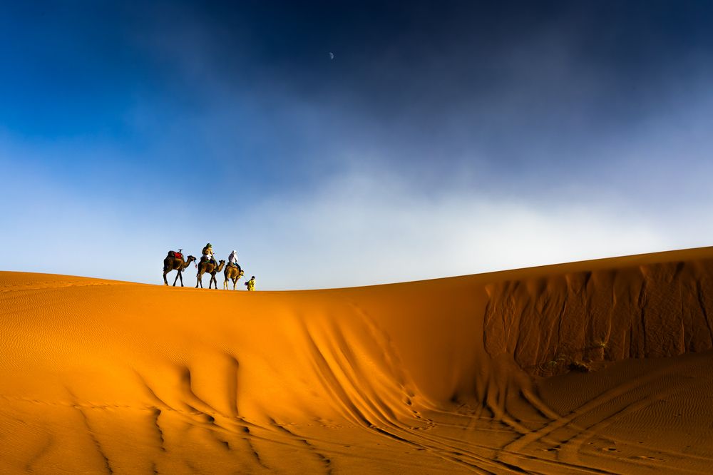 Photograph by Mircea Stan