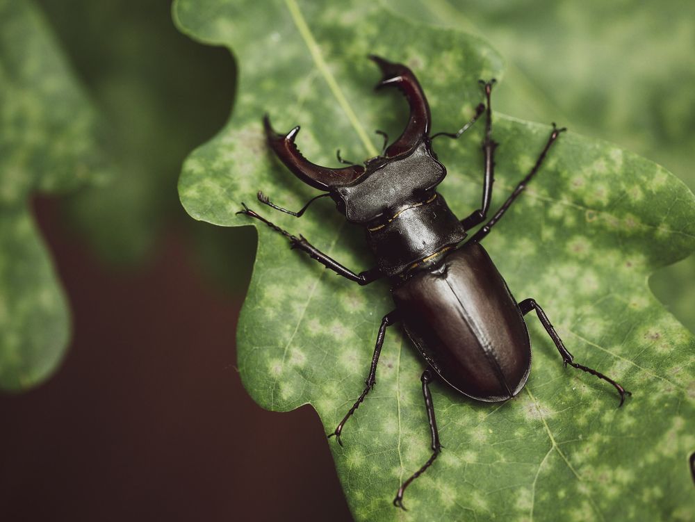 Photograph by Александр Ермаченко