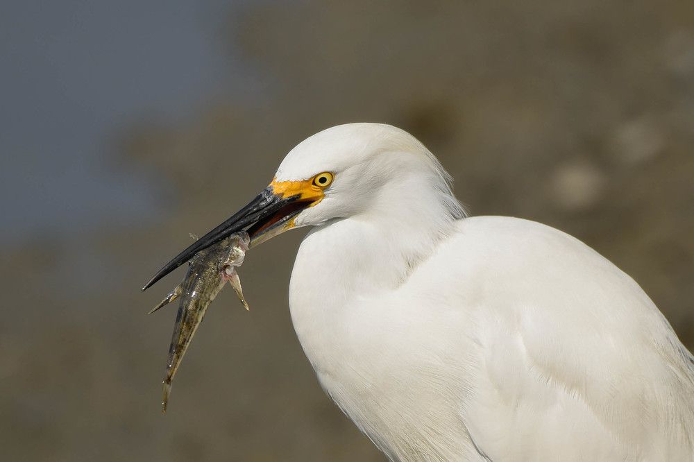 Photograph by Antara Chakravarty