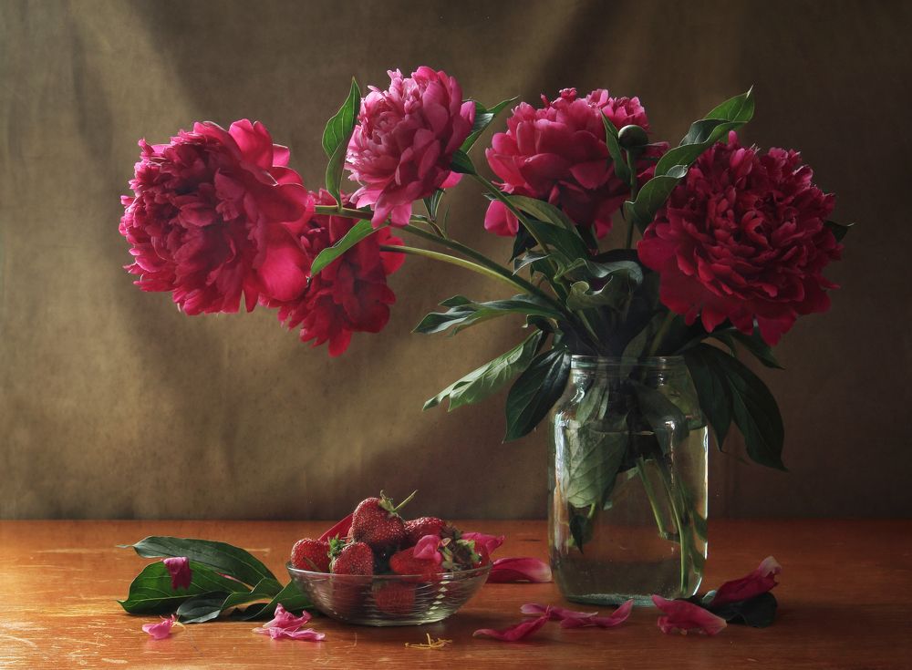 Фотография автора Дарья Шамакина