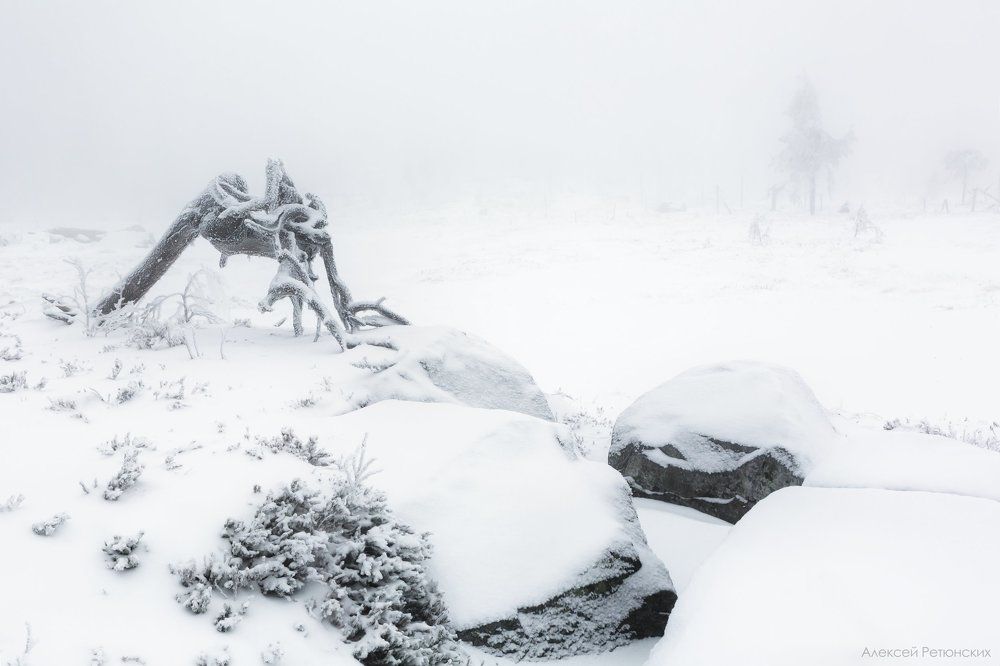 Photograph by Алексей Ретюнских