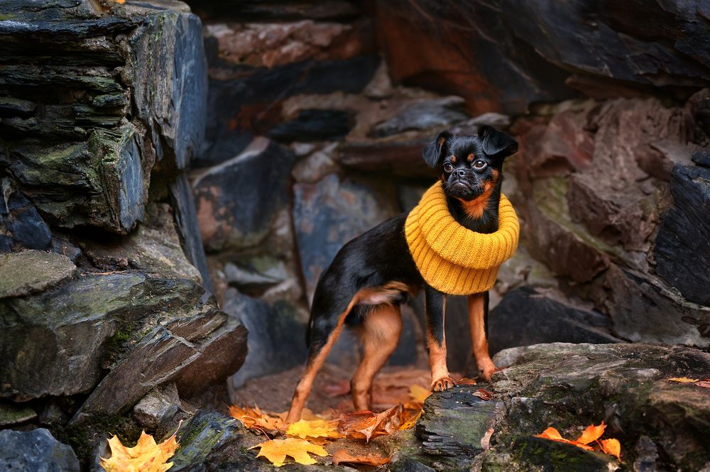 Photograph by Соловьёва Елена