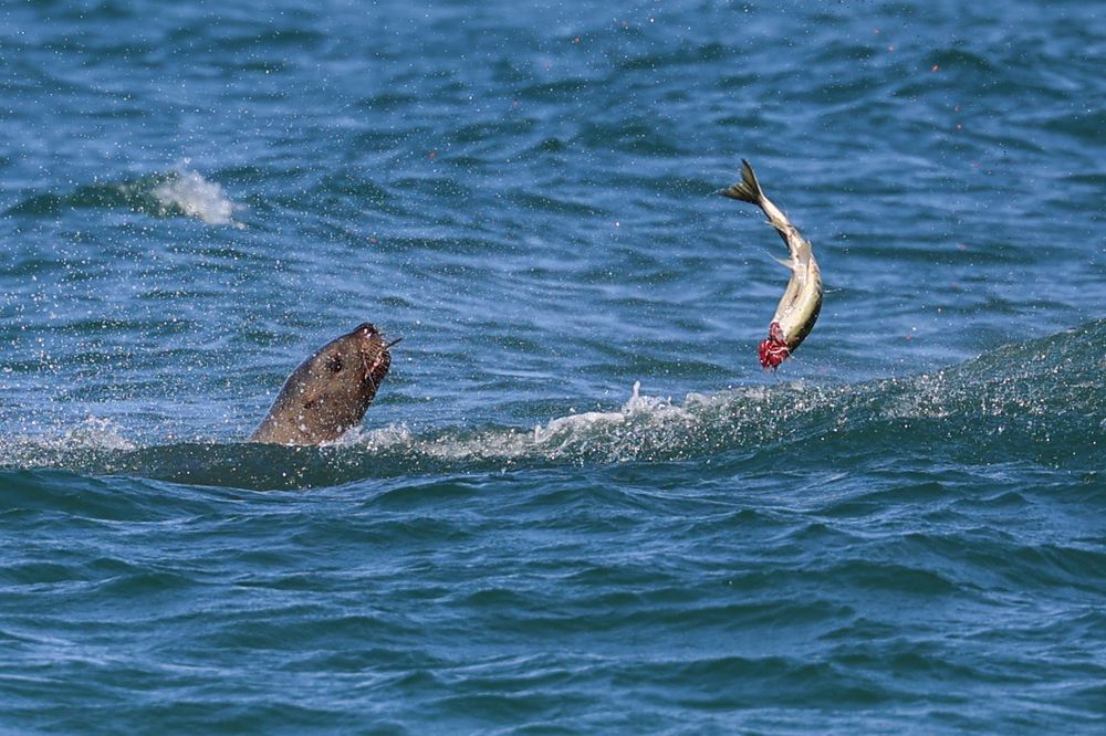 Photograph by Екатерина Якель