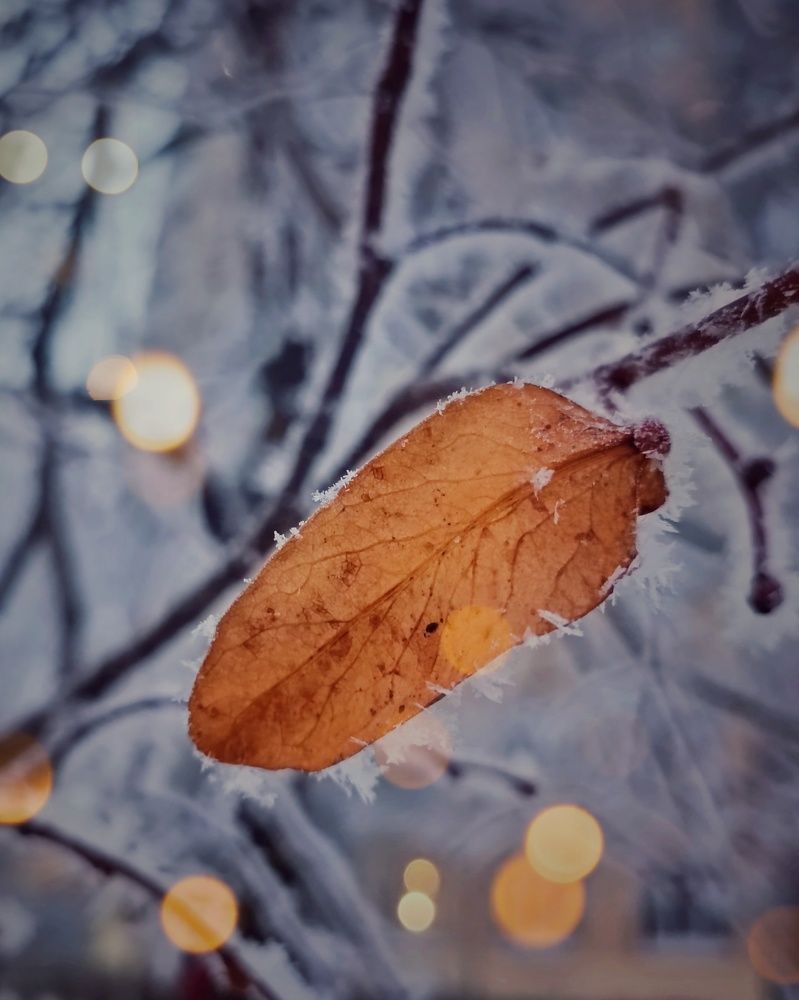Photograph by Ольга
