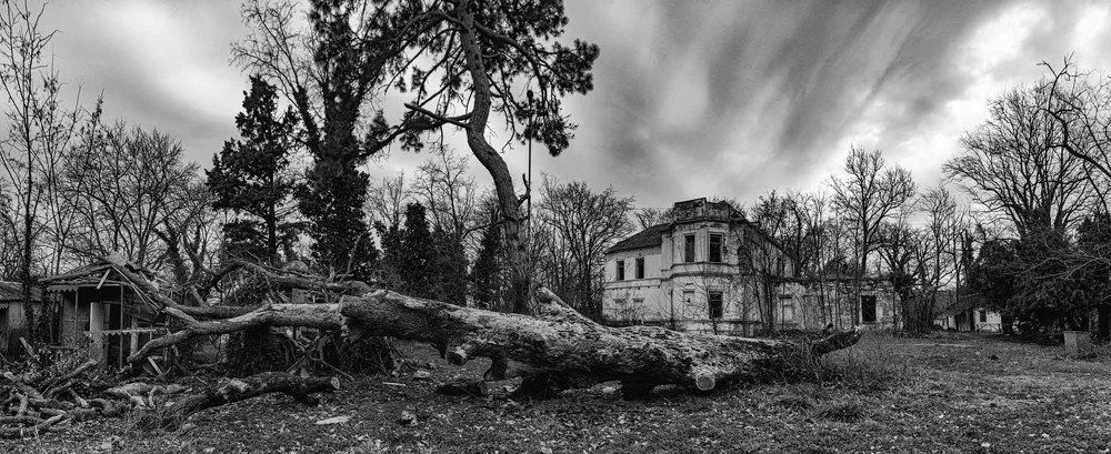 Photograph by Дмитрий Фисенко