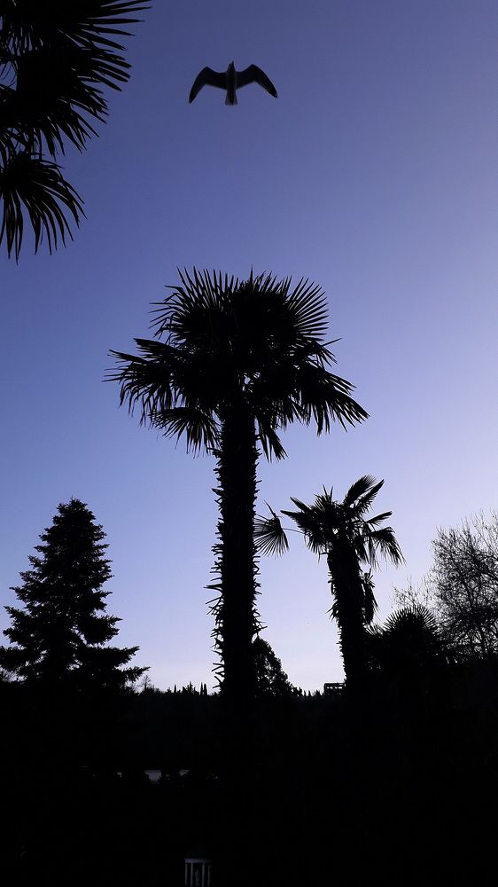 Photograph by Александр Лайкачев