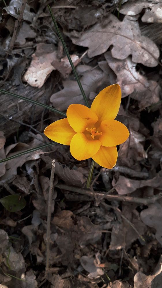 Photograph by Александр Лайкачев