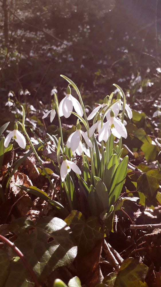 Photograph by Александр Лайкачев