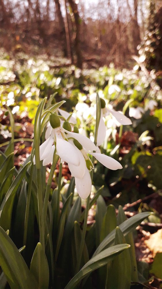 Photograph by Александр Лайкачев