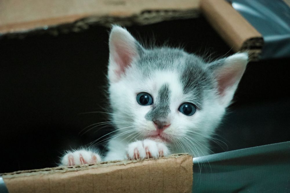 Photograph by Марина Миклашевич