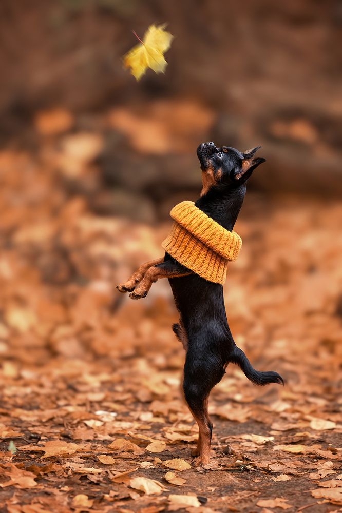 Photograph by Соловьёва Елена