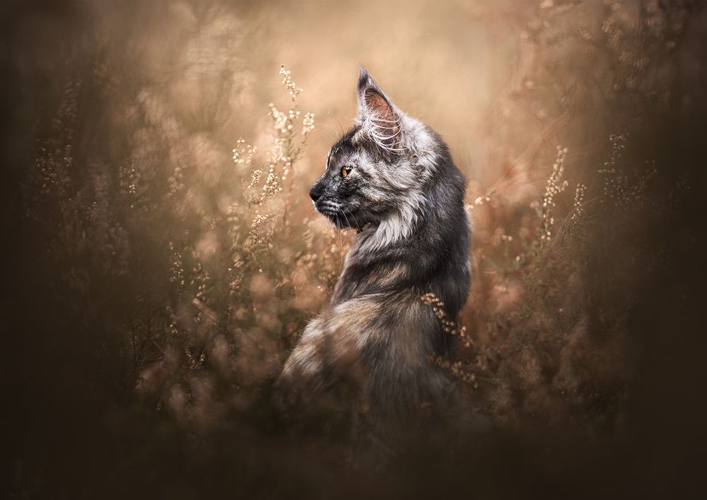 Photograph by Rosie Phang