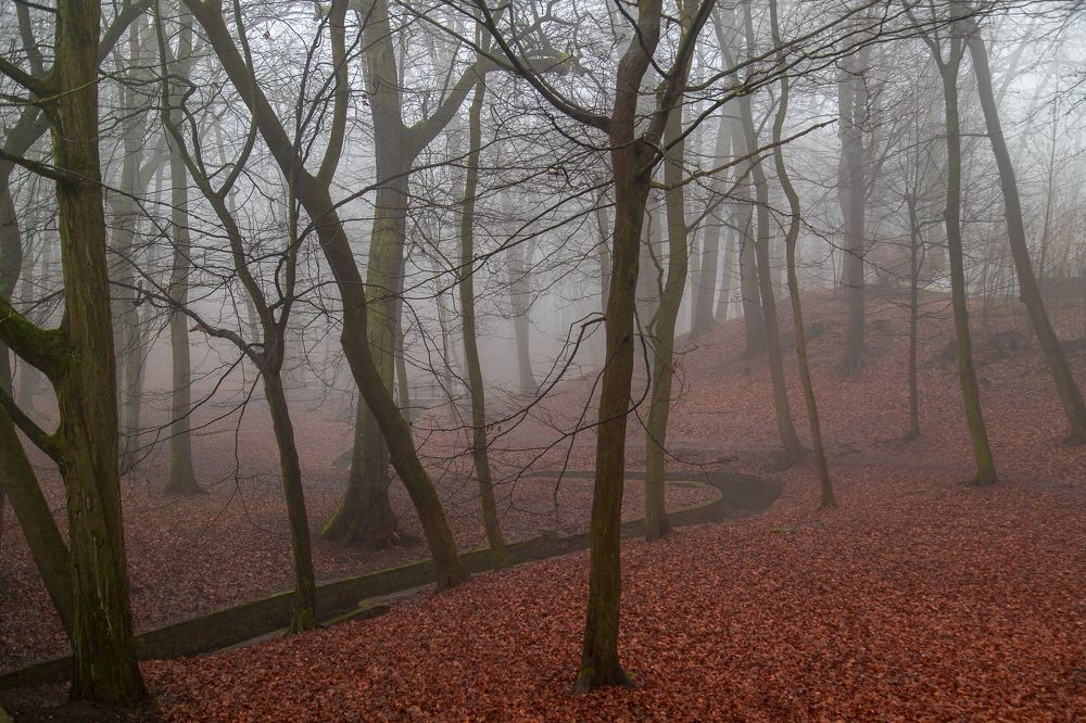 Photograph by Наталья Брюхненко