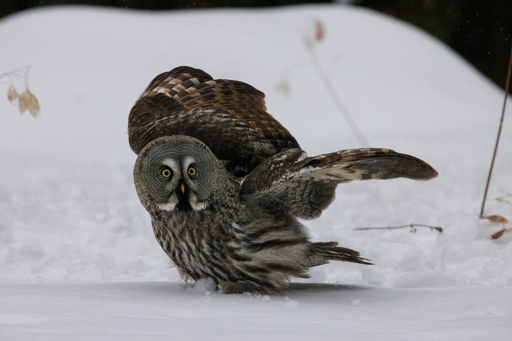 Photograph by Егор Рокита