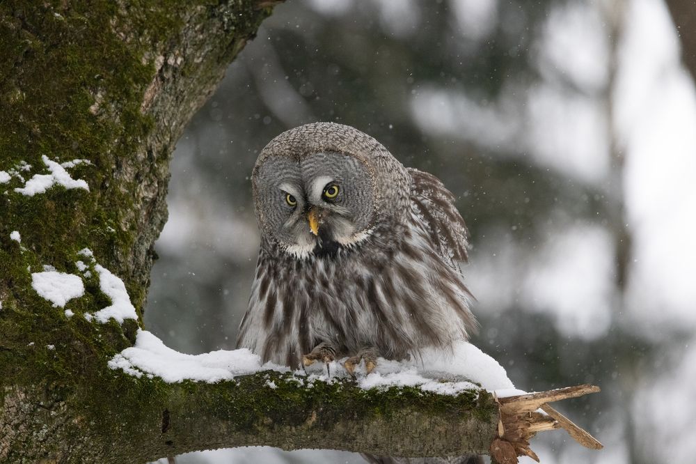 Photograph by Егор Рокита