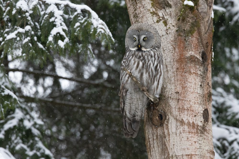 Photograph by Егор Рокита