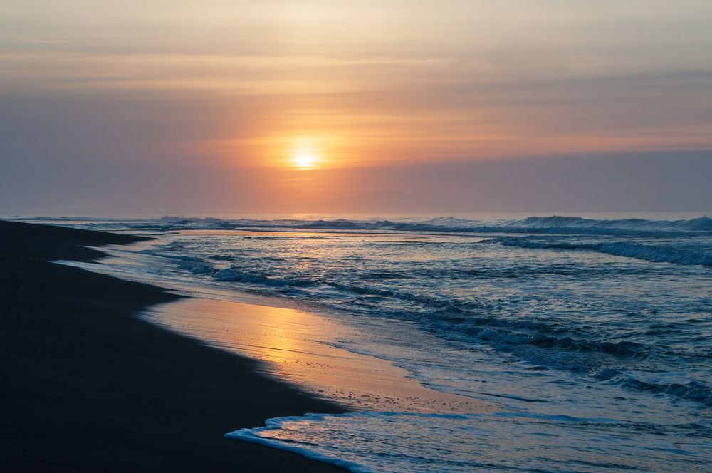 Photograph by Светлана Маркова