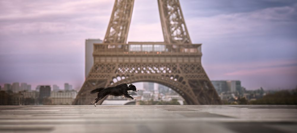 Photograph by Rosie Phang