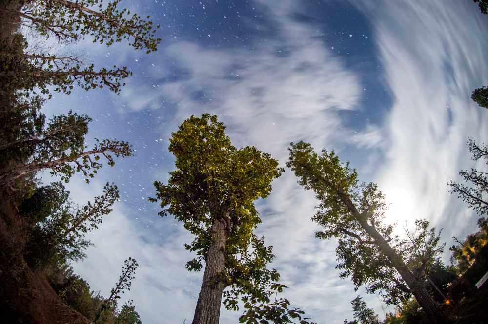 Photograph by siddharth rathod