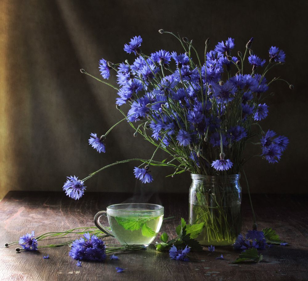 Фотография автора Дарья Шамакина